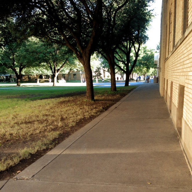 This morning on her way to class...