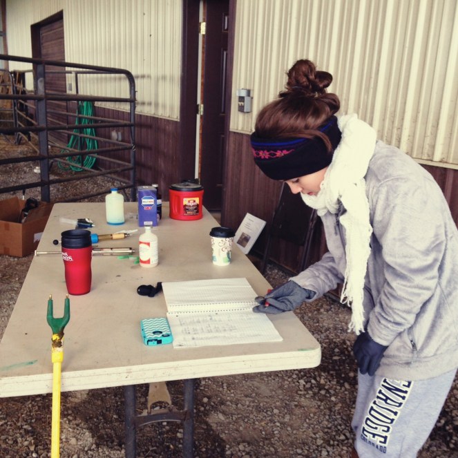 Caroline has yet to nail ranch wear. But that doesn't stop her from being the secretary.