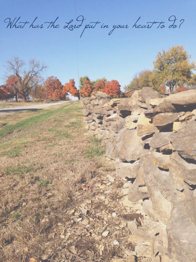 Walls built by the first settlers in Crawford County, Kansas