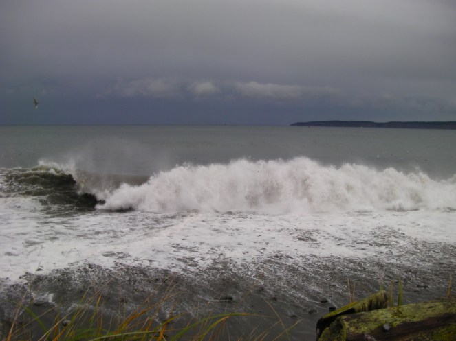 SANYO DIGITAL CAMERA